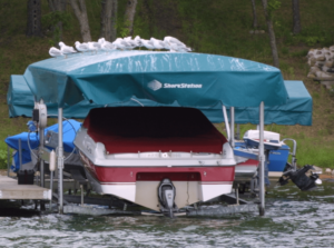 birds on blue boat cover 4 Reasons a Boat Cover is Worth the Investment